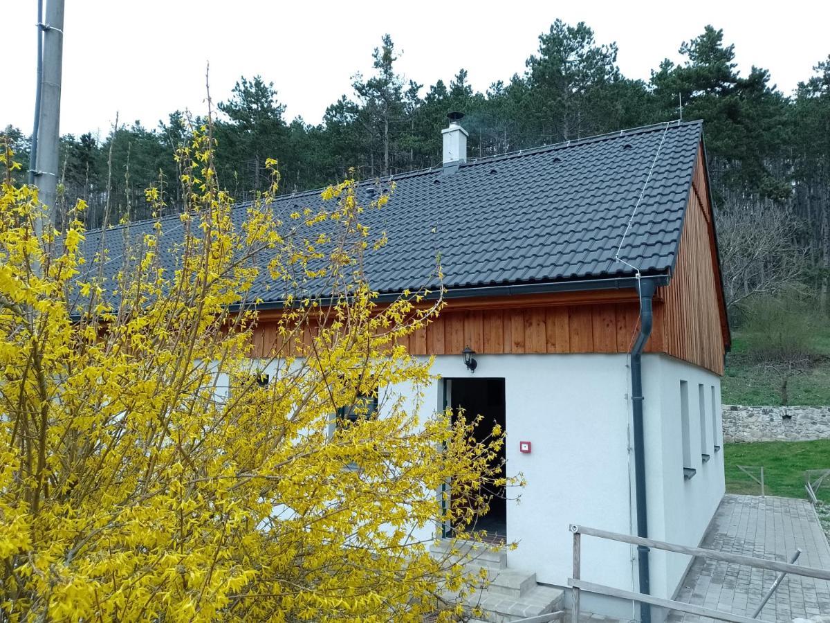 Penzion Litohlavy 17 - Na Samote U Lesa Králŭv Dvŭr Exteriör bild