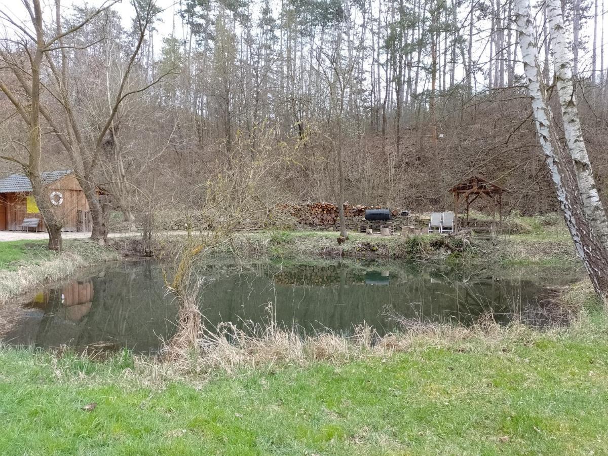 Penzion Litohlavy 17 - Na Samote U Lesa Králŭv Dvŭr Exteriör bild
