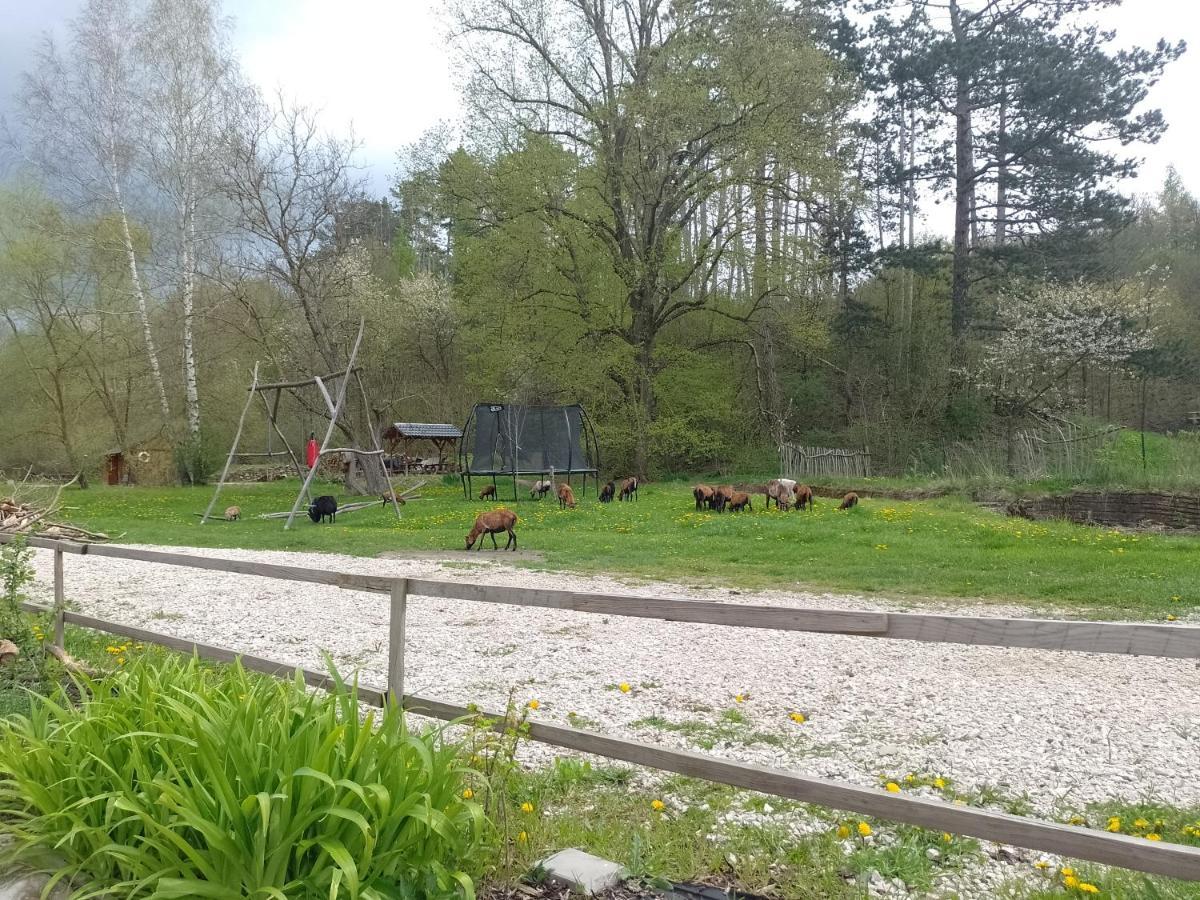 Penzion Litohlavy 17 - Na Samote U Lesa Králŭv Dvŭr Exteriör bild