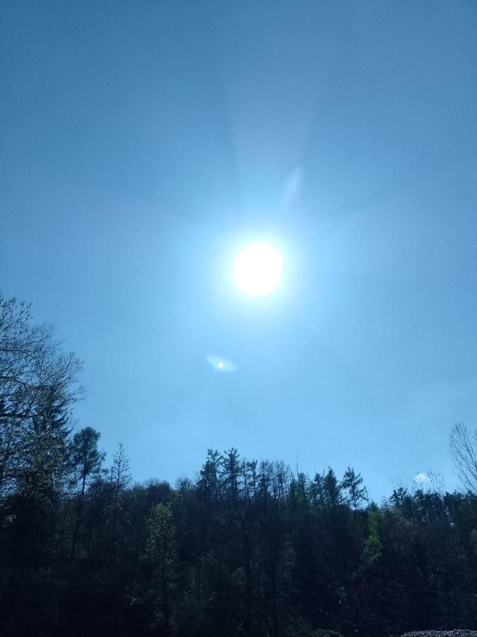 Penzion Litohlavy 17 - Na Samote U Lesa Králŭv Dvŭr Exteriör bild