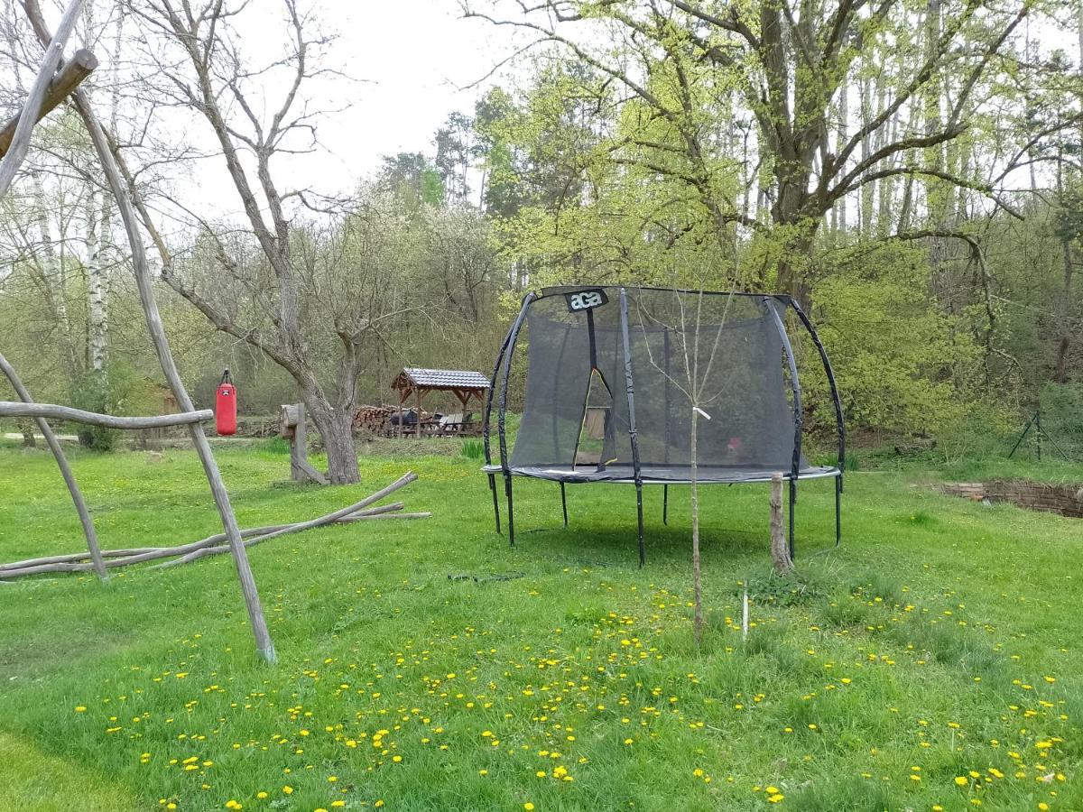 Penzion Litohlavy 17 - Na Samote U Lesa Králŭv Dvŭr Exteriör bild